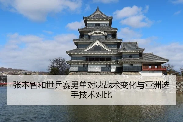 张本智和世乒赛男单对决战术变化与亚洲选手技术对比 | jinniu